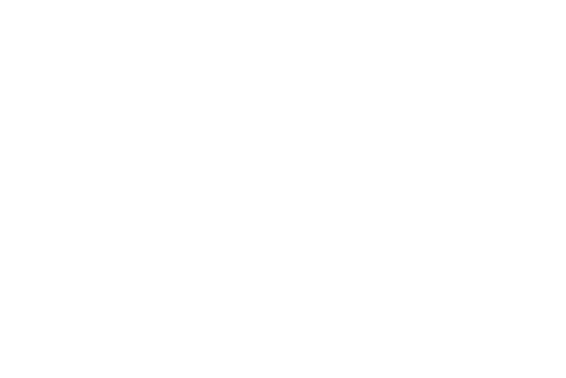 THE INTERNATIONAL FASHION FILM COMPETITION